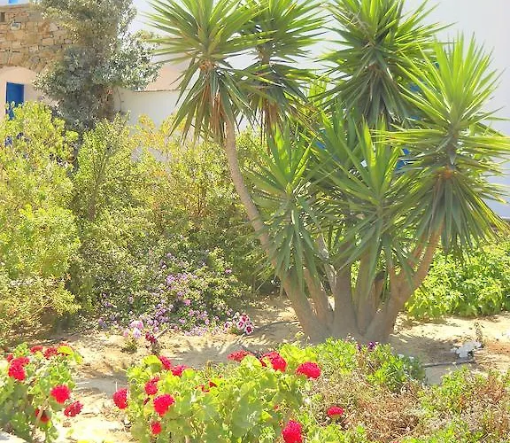 Appartamento Mateus *